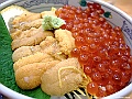 DSCF7155