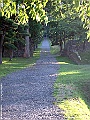 DSCF7182