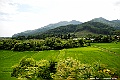_DSC8092