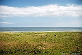 _DSC8113