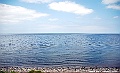 _DSC8160