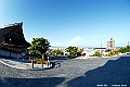 _DSC8206