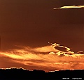 _DSC8430