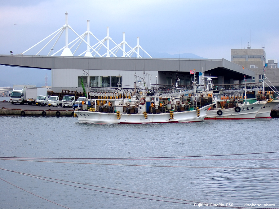DSCF7350.jpg - HAKODATE FACTORY