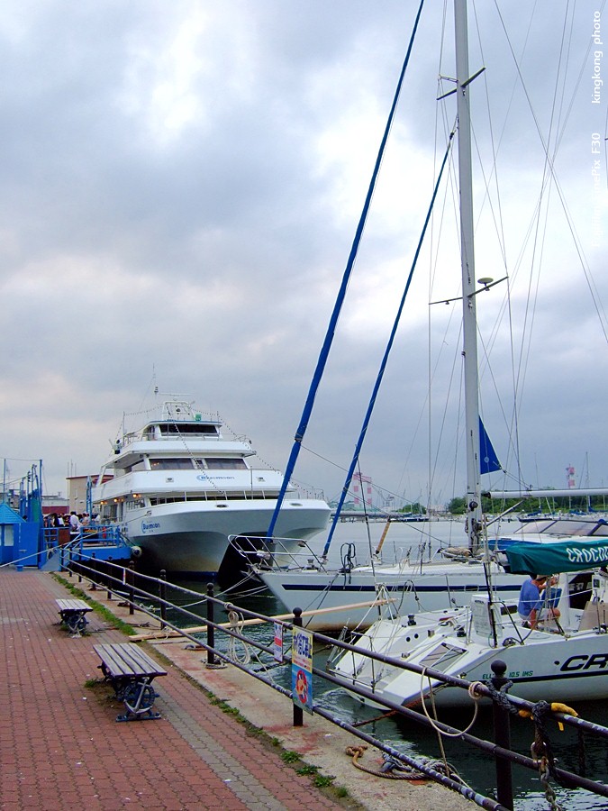 DSCF7371.jpg