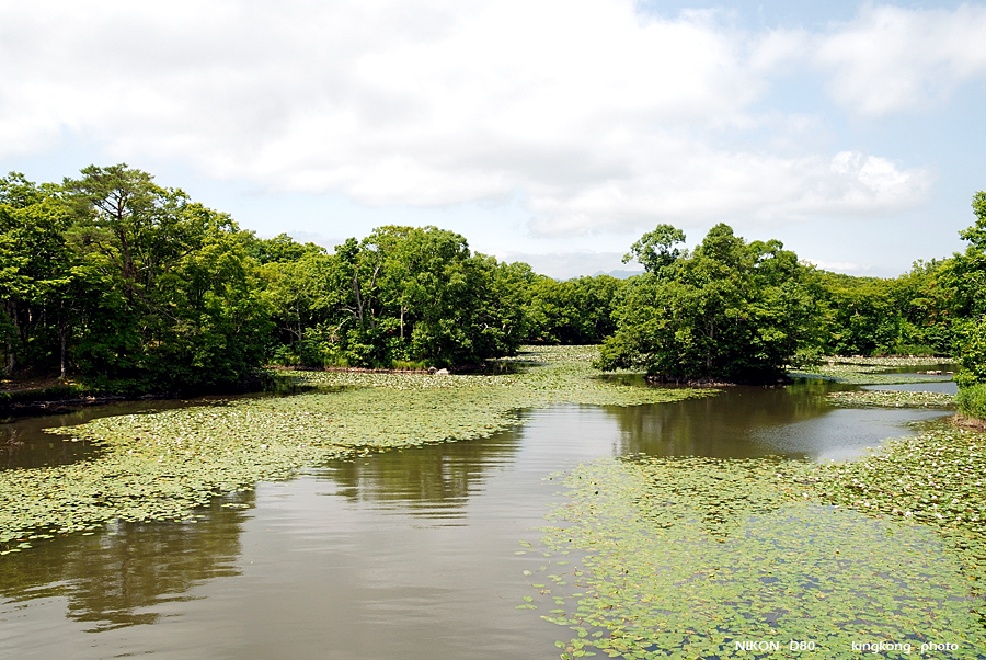 _DSC8574.JPG - 大沼公園, http://www.onuma-guide.com/