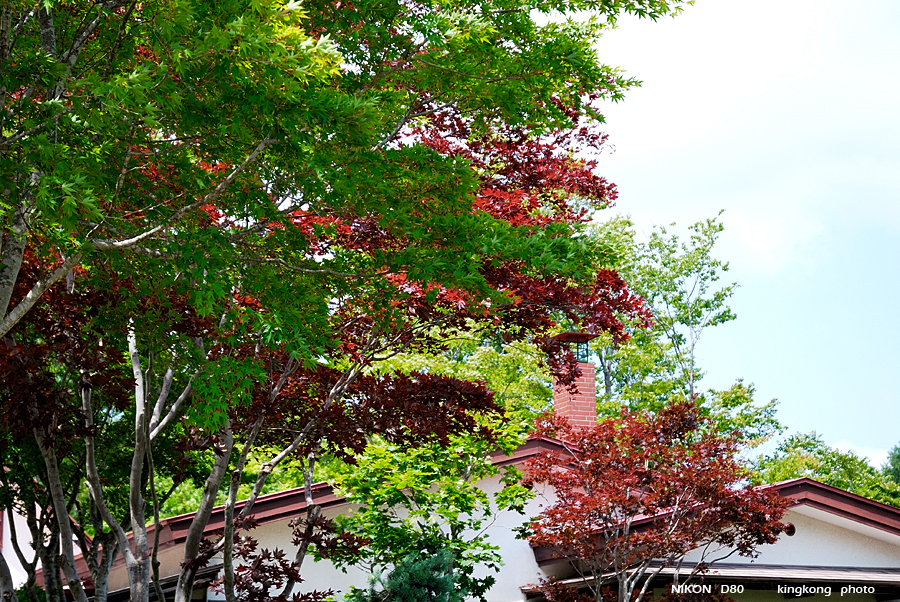 _DSC8673.JPG - 大沼公園, http://www.onuma-guide.com/
