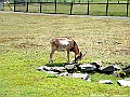 DSCF7267