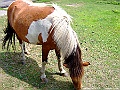 DSCF7268