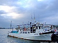 DSCF7345