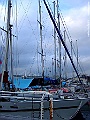 DSCF7349