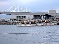 DSCF7350