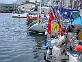DSCF7351