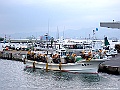 DSCF7353