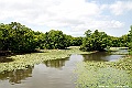 _DSC8574