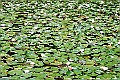 _DSC8577