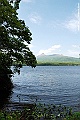 _DSC8635