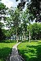 _DSC8639
