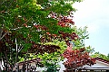 _DSC8673