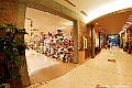 _DSC8802