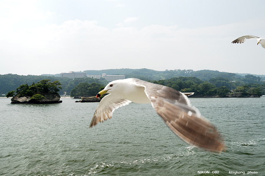 _DSC8850.JPG - 松島海岸, http://www.matsushima-kanko.com/