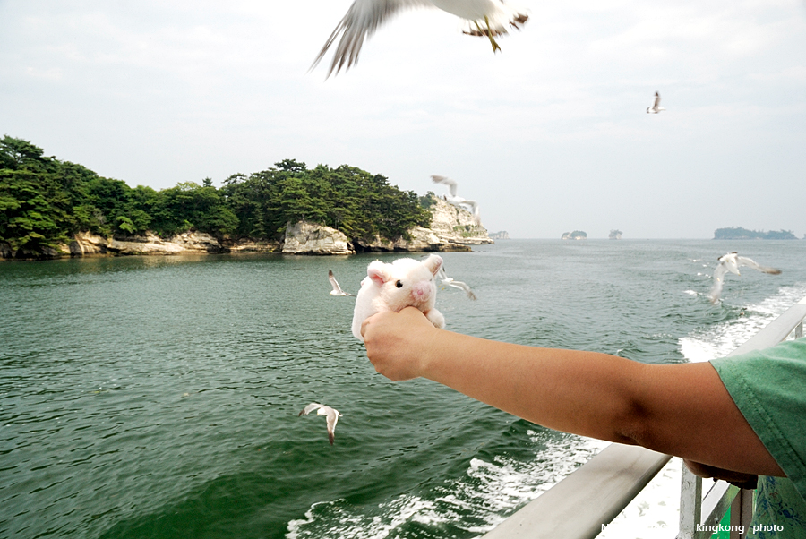 _DSC8918.JPG - 松島海岸, http://www.matsushima-kanko.com/
