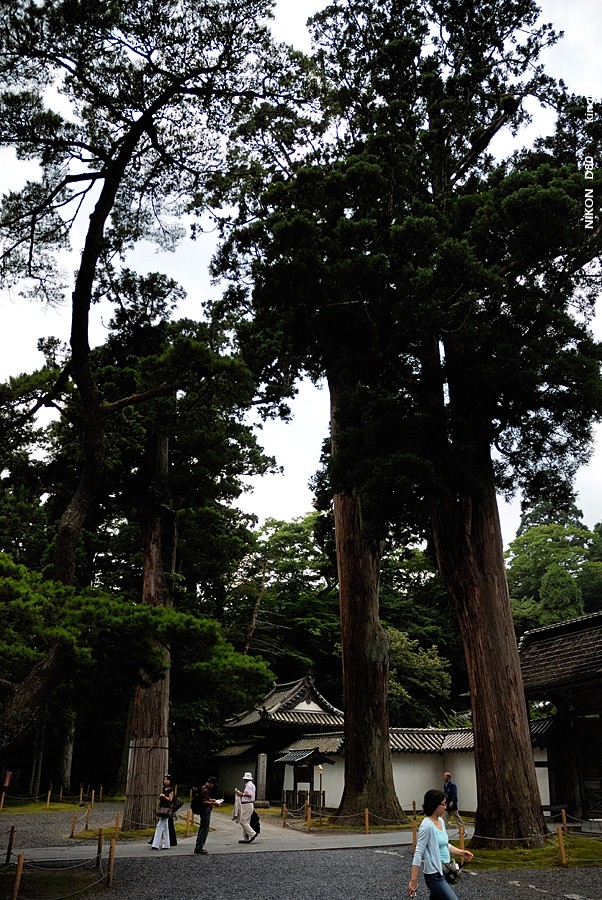 _DSC8973.JPG - 瑞巌寺, http://www.matsushima-kanko.com/midokoro/rekishi/zuiganji.html