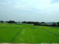 DSCF7506