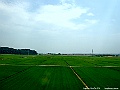 DSCF7509