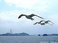 DSCF7561