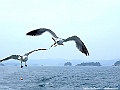 DSCF7564