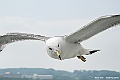 _DSC8857