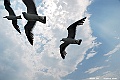 _DSC8902