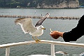 _DSC8929