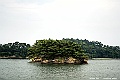 _DSC8943