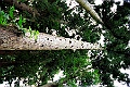 _DSC8958