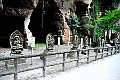 _DSC8960