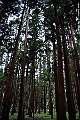 _DSC8964