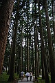 _DSC8966