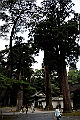 _DSC8973
