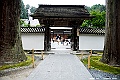 _DSC8974