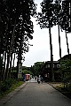 _DSC8976