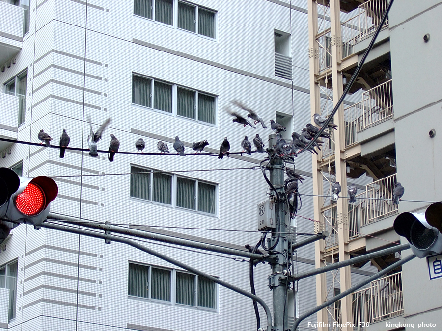 DSCF7866.jpg - 池袋