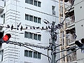 DSCF7866