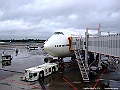 DSCF7967