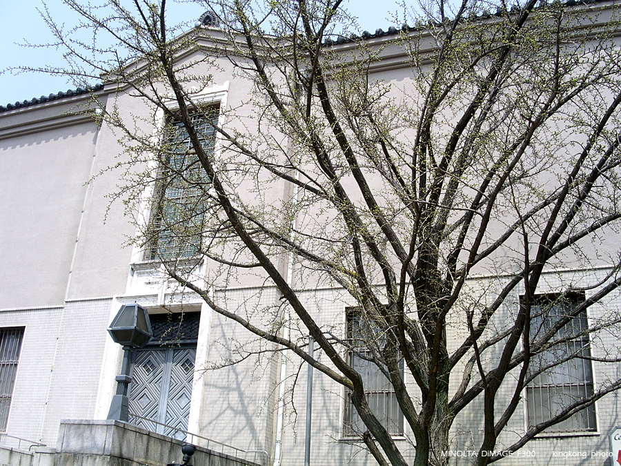 PICT1591.JPG - 大阪 - 天王寺公園
