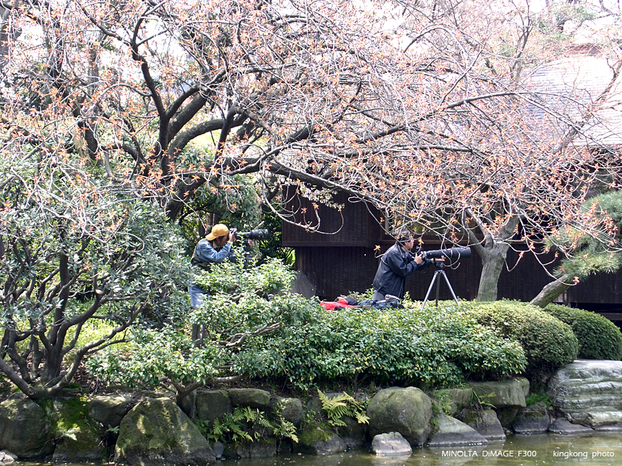 PICT1600.JPG - 大阪 - 天王寺公園