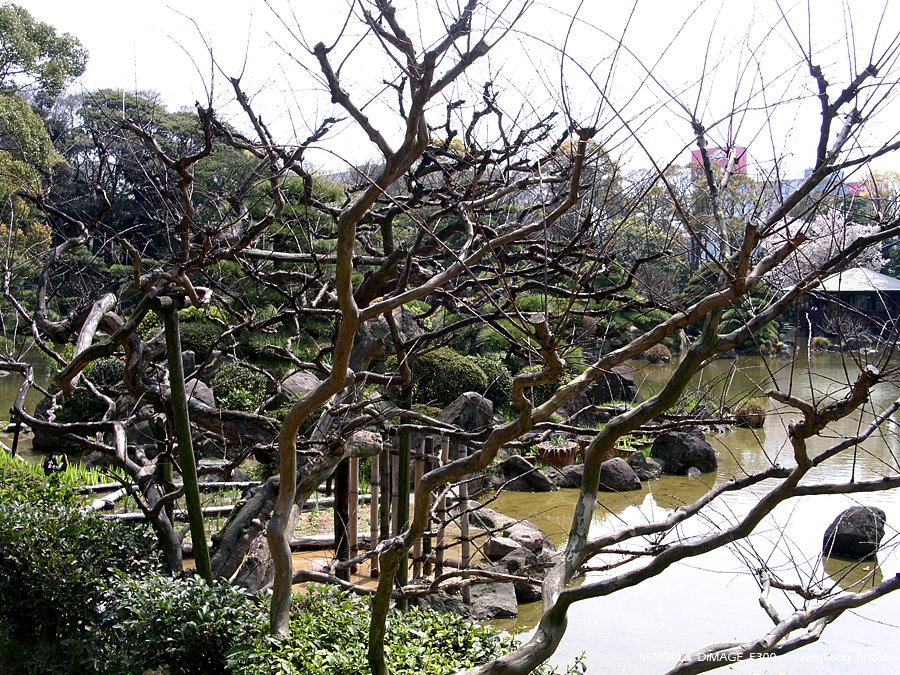 PICT1604.JPG - 大阪 - 天王寺公園