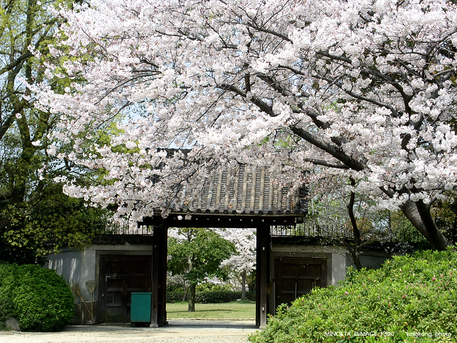 PICT1605.JPG - 大阪 - 天王寺公園