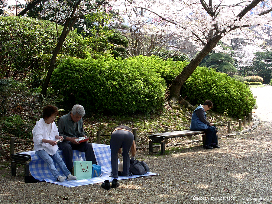 PICT1610.JPG - 大阪 - 天王寺公園